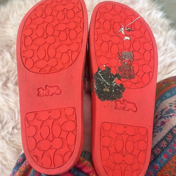 Rainbow Coach slides - Picture 6 of 6